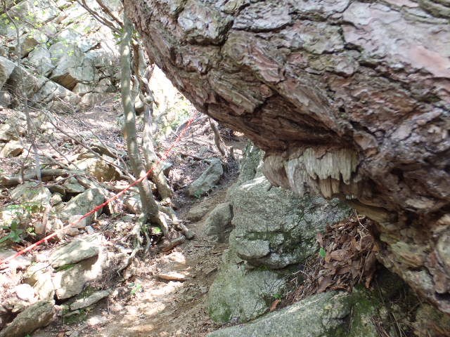 a0271502_5475574.jpg