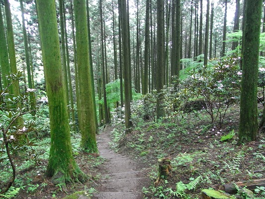 f0187402_22492083.jpg