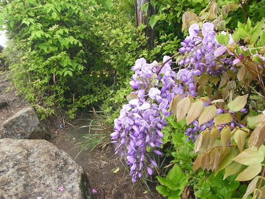 f0187402_2249311.jpg