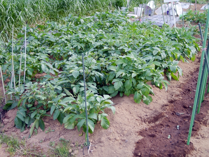 c0187503_23131340.jpg