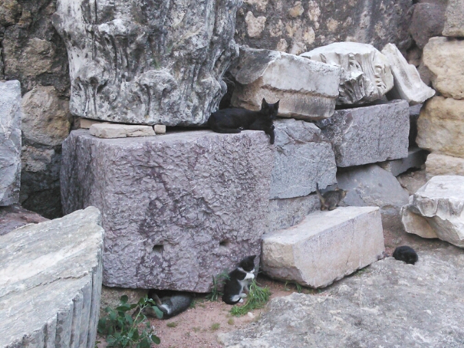 c0212604_14125528.jpg