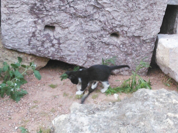 c0212604_14142842.jpg