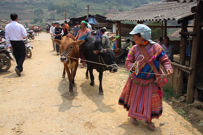 d0136804_1673390.jpg