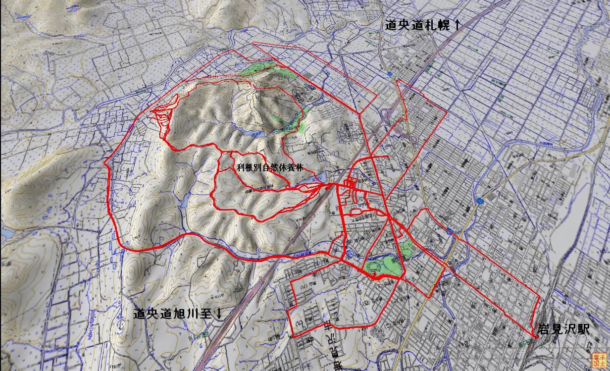 a0248508_10593290.jpg