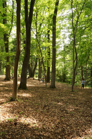a0242809_11452063.jpg
