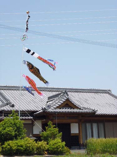 屋根より高い鯉のぼり ファッション サーフ 玉名 屋根より高い鯉のぼり ファッション サーフ 玉名