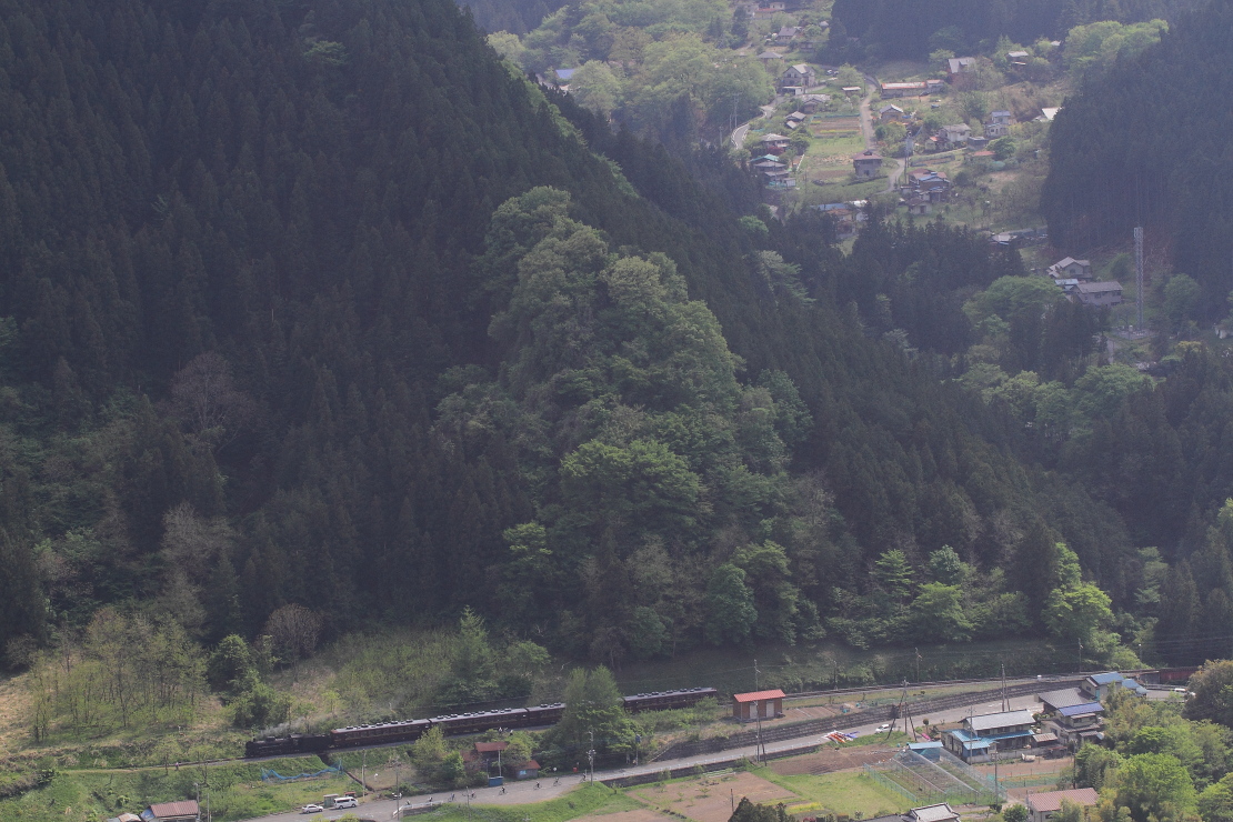 山は新緑、里には鯉のぼり、汽車は夏煙　- 2014年新緑・秩父 -  _b0190710_22172181.jpg