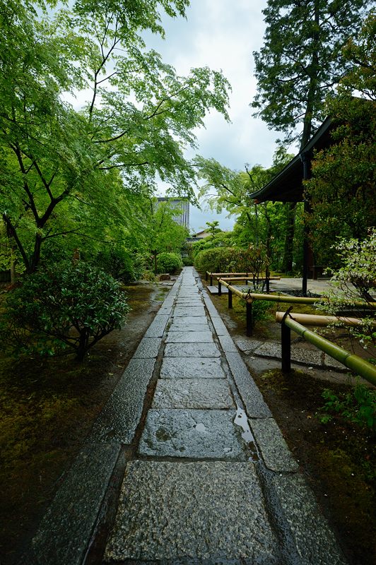 雨寺巡り・妙心寺塔頭大法院_f0032011_19113891.jpg