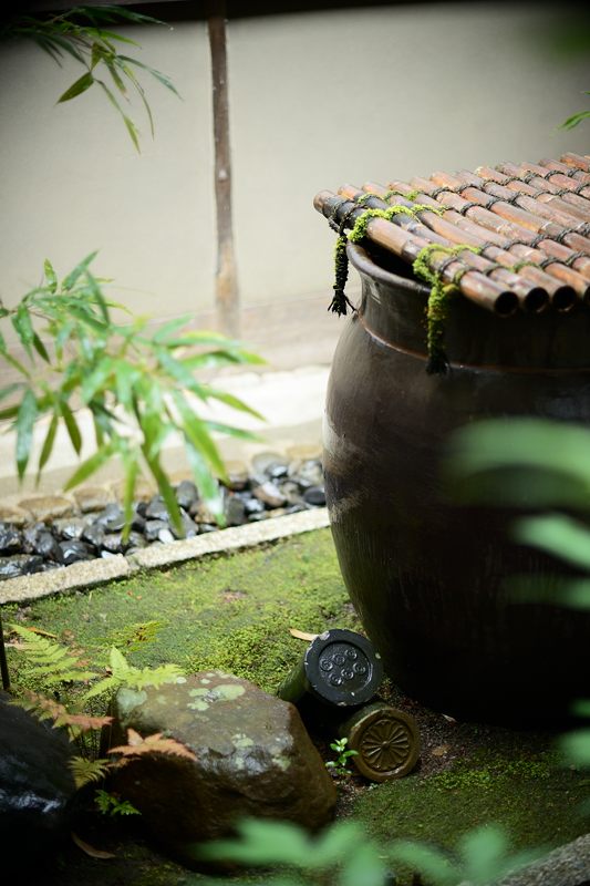 雨寺巡り・妙心寺塔頭大法院_f0032011_19115851.jpg