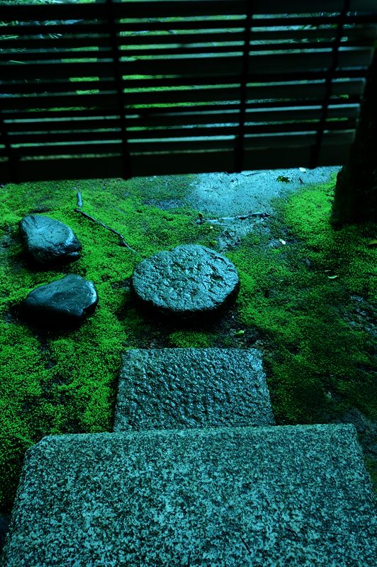 雨寺巡り・妙心寺塔頭大法院_f0032011_1912343.jpg