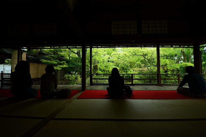 雨寺巡り・妙心寺塔頭大法院_f0032011_19132174.jpg