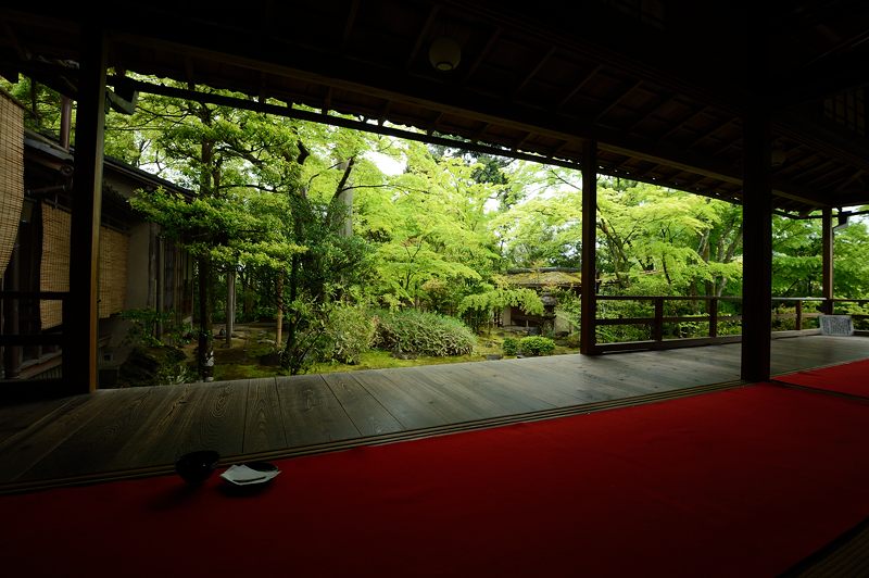 雨寺巡り・妙心寺塔頭大法院_f0032011_19184794.jpg