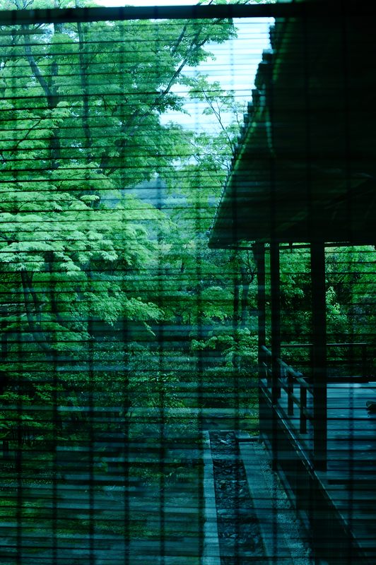 雨寺巡り・妙心寺塔頭大法院_f0032011_1919558.jpg