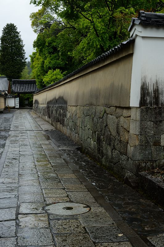 雨寺巡り・妙心寺塔頭大法院_f0032011_1992676.jpg