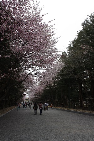 c0200413_1252426.jpg