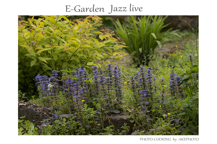 E-Garden にて_e0127416_23001327.jpg