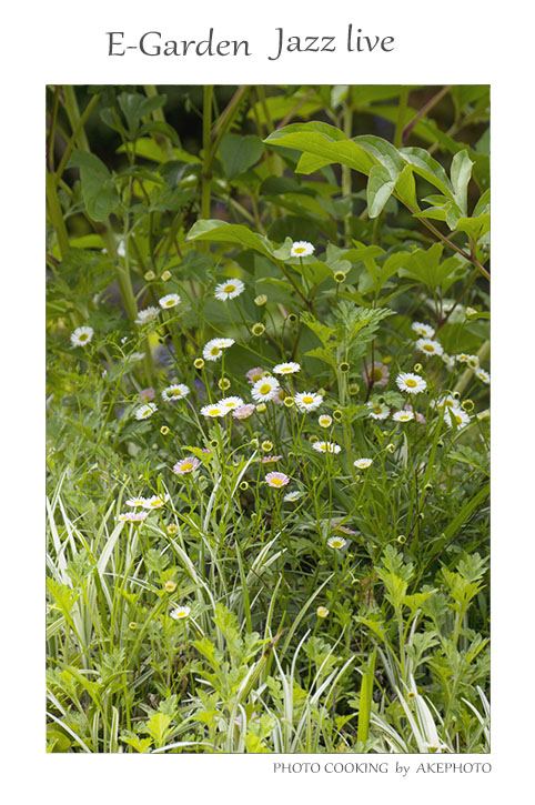 E-Garden にて_e0127416_23001522.jpg