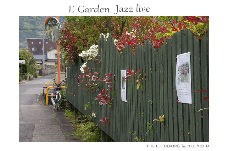 E-Garden にて_e0127416_23001889.jpg