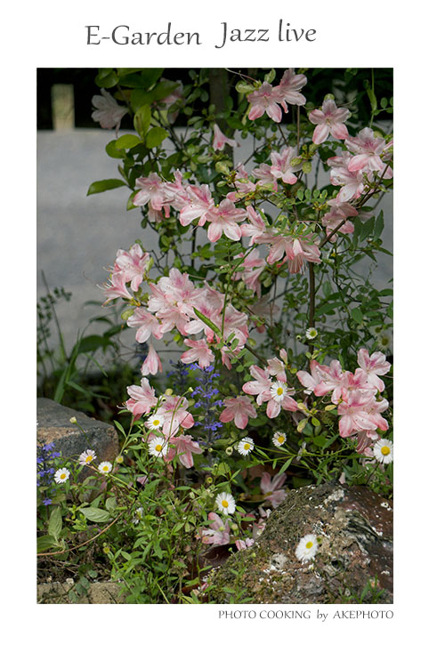 E-Garden にて_e0127416_23002161.jpg