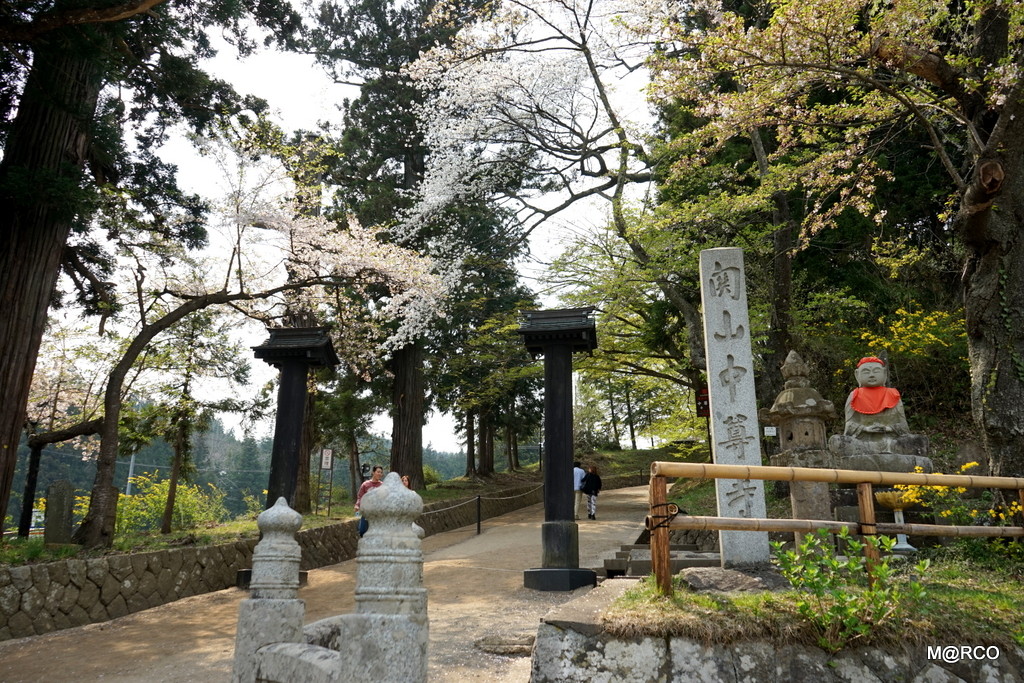 東北桜 2014 : 5. 世界遺産平泉 @ 岩手_c0322123_22344597.jpg