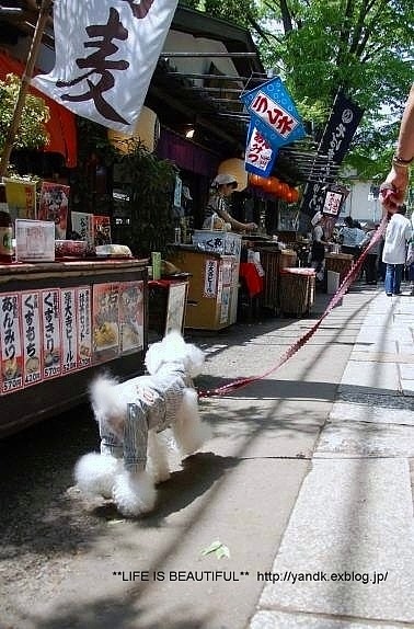 深大寺_d0083623_0142631.jpg