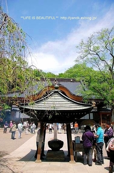 深大寺_d0083623_0151223.jpg