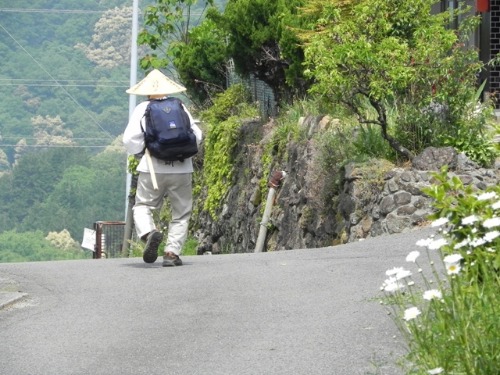 爺ちゃん婆ちゃん、私を遍路に連れてって!（孫）_f0213825_11354753.jpg