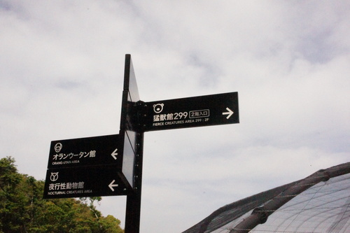 e0226827_1926257.jpg