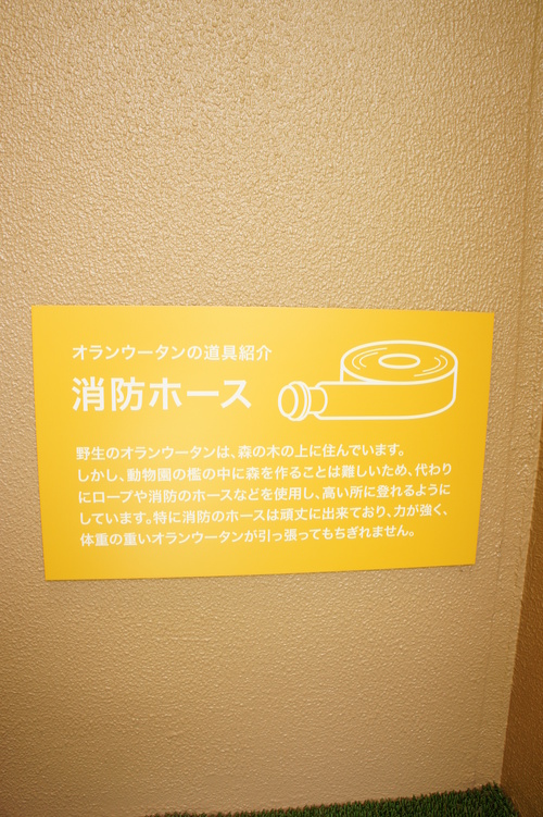 e0226827_1929515.jpg