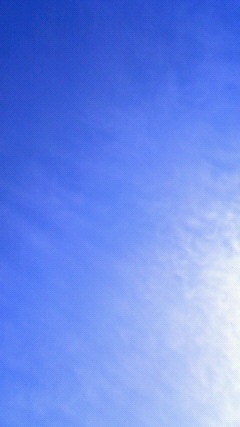 b0279129_16331272.jpg