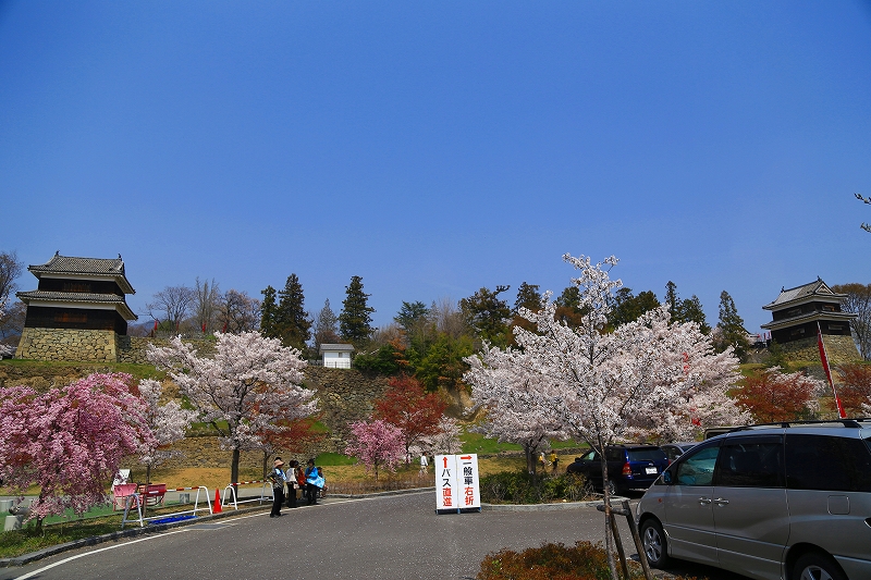 信州さくら便り『上田城跡公園』その２_f0229832_1053372.jpg