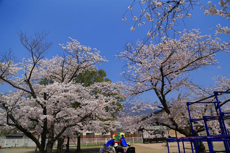 f0229832_9462214.jpg