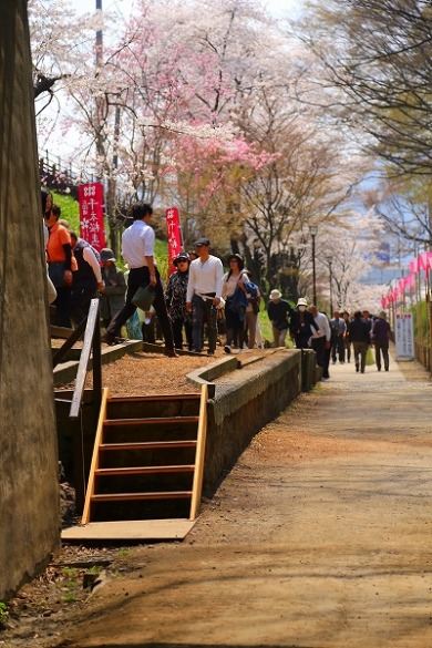 信州さくら便り『上田城跡公園』その２_f0229832_9521374.jpg