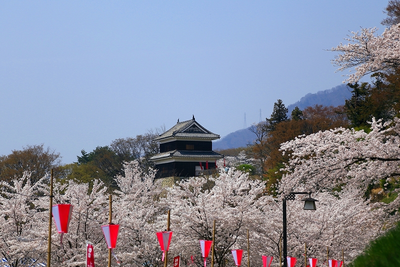 信州さくら便り『上田城跡公園』その２_f0229832_9553993.jpg