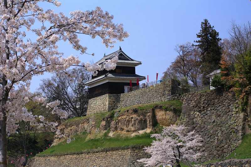 信州さくら便り『上田城跡公園』その２_f0229832_9594166.jpg