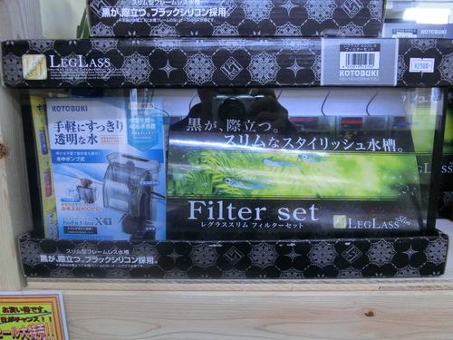 f0304633_20352780.jpg