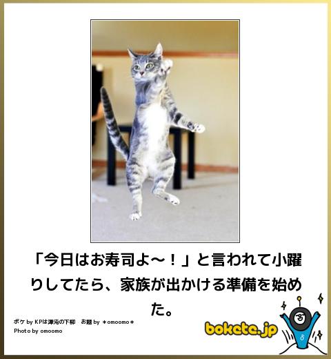 14 05 04 ボケて Bokete 猫 まとめ 最新