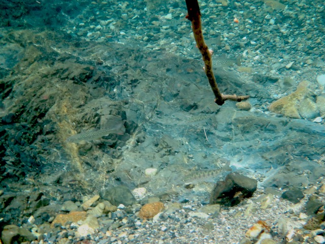 e0266134_16247.jpg