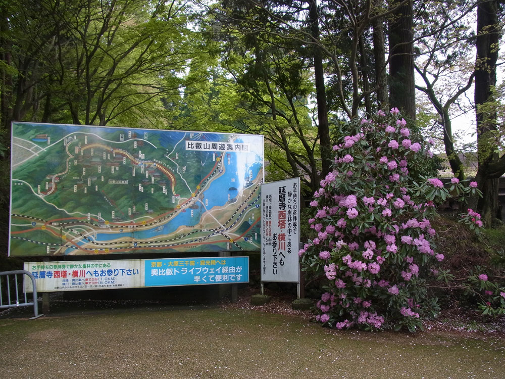 c0306638_56509.jpg