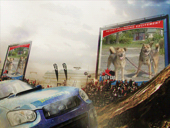 a0216142_23592613.gif