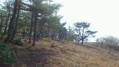 b0148050_22422830.jpg