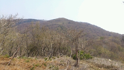 b0148050_22443725.jpg