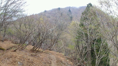 b0148050_22513767.jpg