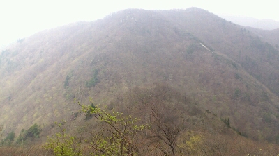 b0148050_2251578.jpg