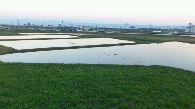 b0148050_22563497.jpg