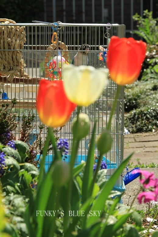 c0145250_10201815.jpg