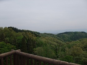 桜開花情報-倶利伽羅県定公園-_c0208355_1732647.jpg