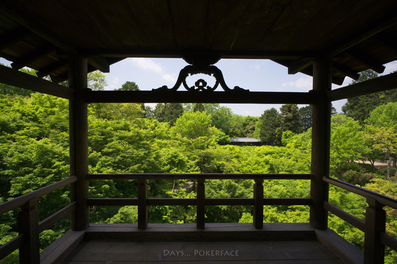 Colors 9 新緑の東福寺_d0079559_14223563.jpg