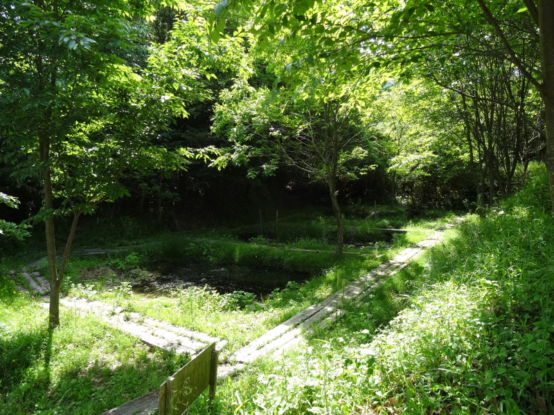 c0108460_17461440.jpg
