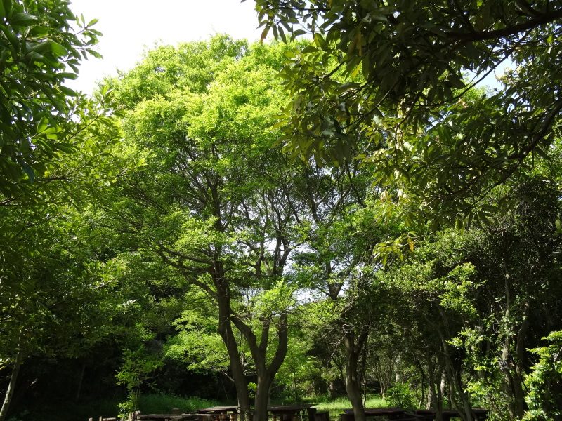 c0108460_17461541.jpg